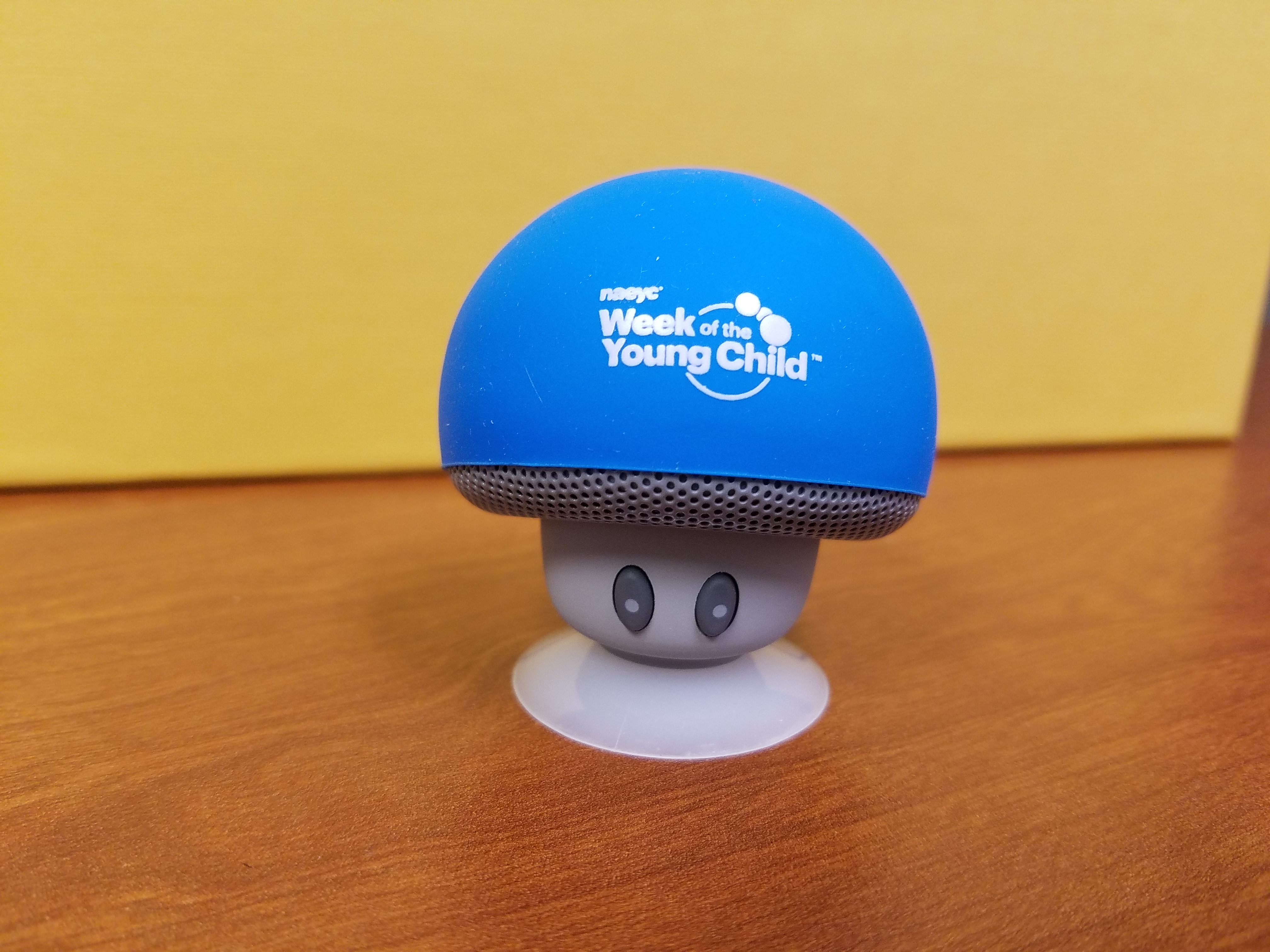 Mini Bluetooth Speaker - Blue